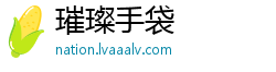 璀璨手袋